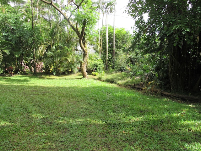 12-567 Aloha Rd, Pahoa, HI 96778 - view of green lawn