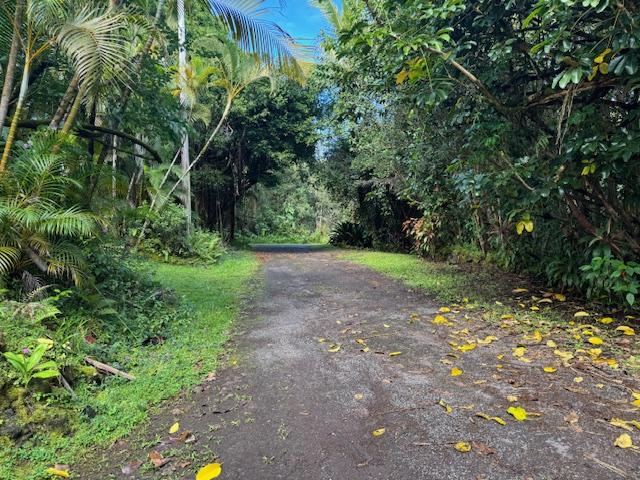 12-567 Aloha Rd, Pahoa, HI 96778 - view of road