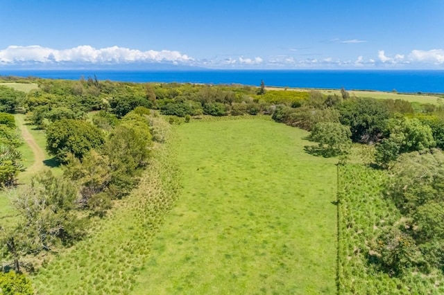 Union Mill Rd, Kapaau, HI 96755 - photo 4