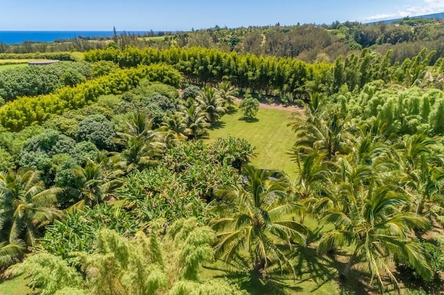 Union Mill Rd, Kapaau, HI 96755 - photo 6