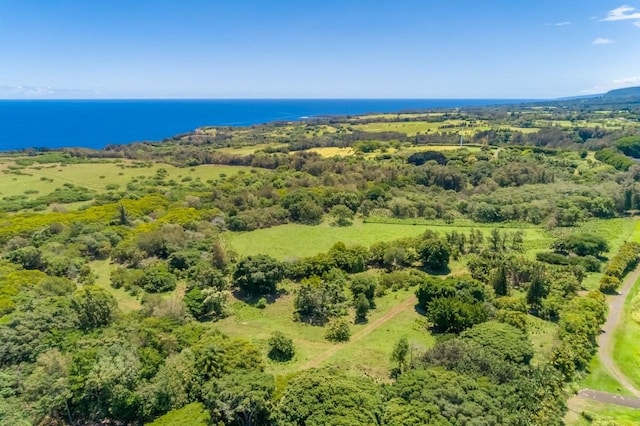 Union Mill Rd, Kapaau, HI 96755 - photo 9