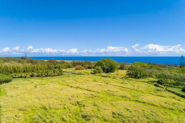 Union Mill Rd, Kapaau, HI 96755 - photo 11