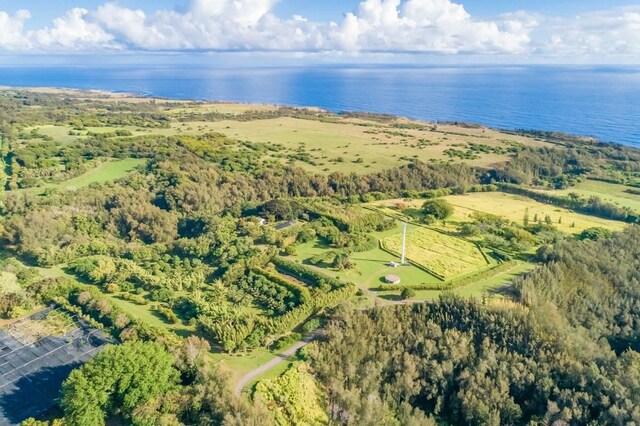 Union Mill Rd, Kapaau, HI 96755 - photo 13