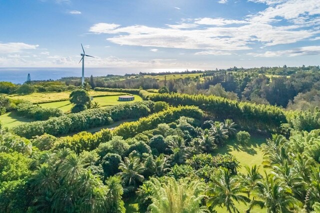 Union Mill Rd, Kapaau, HI 96755 - photo 15