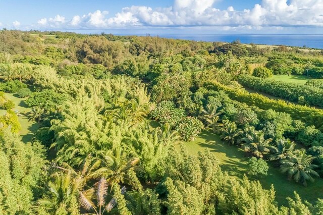 Union Mill Rd, Kapaau, HI 96755 - photo 16