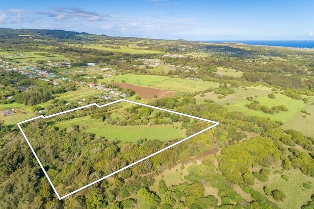 Union Mill Rd, Kapaau, HI 96755 - photo 22