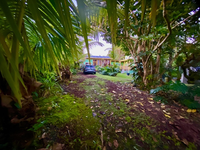 12-7022 Akanikolea St, Pahoa, HI 96778 - view of yard