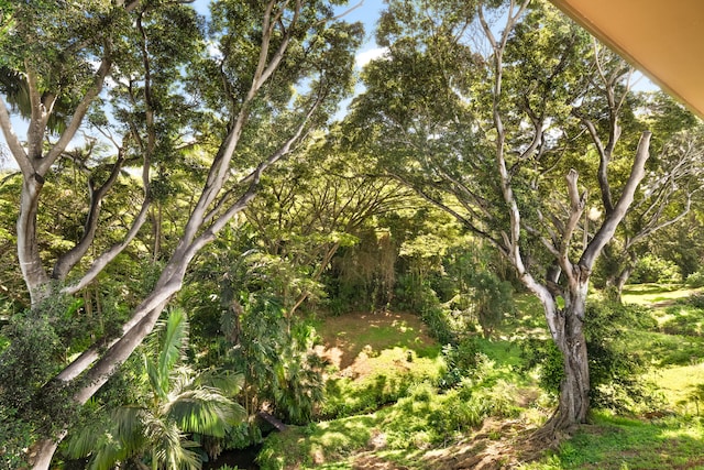3973 Kalakaua Pl, Princeville, HI 96722 - view of local wilderness