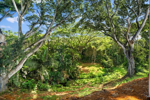 3973 Kalakaua Pl, Princeville, HI 96722 - view of nature