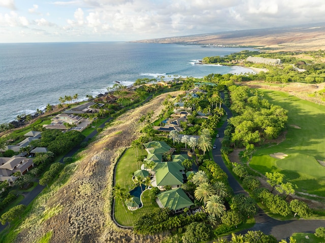 62-3680 Kiekiena Pl, Kamuela, HI 96743 - photo 25
