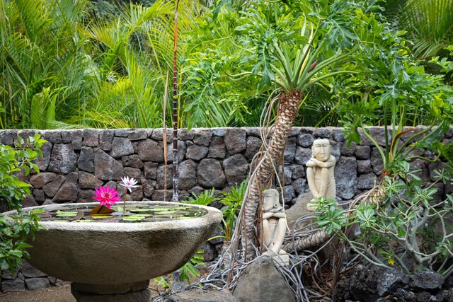 62-3680 Kiekiena Pl, Kamuela, HI 96743 - photo 18