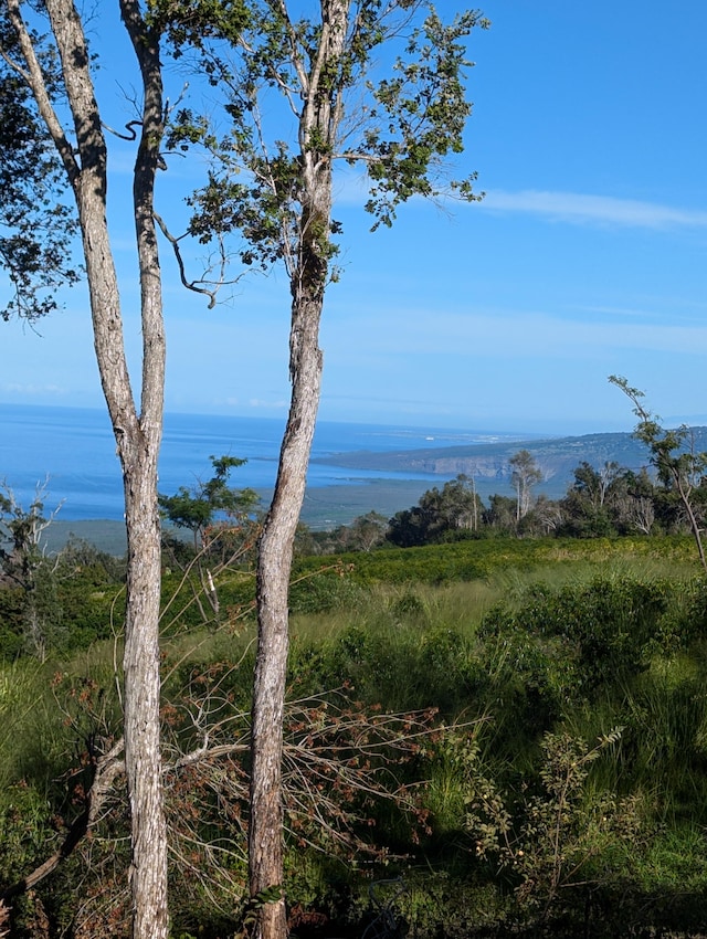 87-1081 Haleili Rd, Captain Cook, HI 96704 - water view