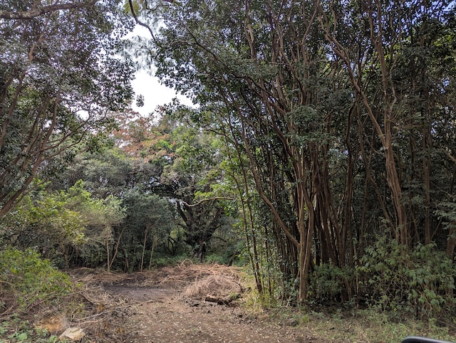 87-1081 Haleili Rd, Captain Cook, HI 96704 - view of woods