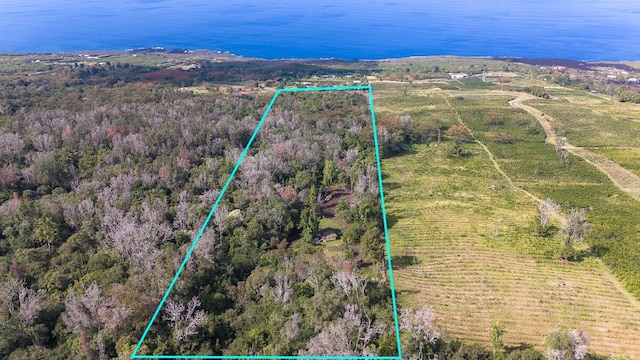 87-1081 Haleili Rd, Captain Cook, HI 96704 - aerial view of property and surrounding area with property boundaries highlighted, a heavily wooded area, and a large body of water