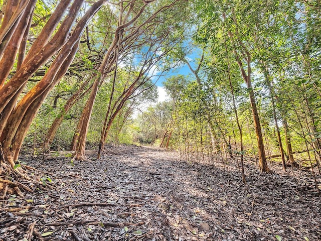 87-1081 Haleili Rd, Captain Cook, HI 96704 - view of local wilderness