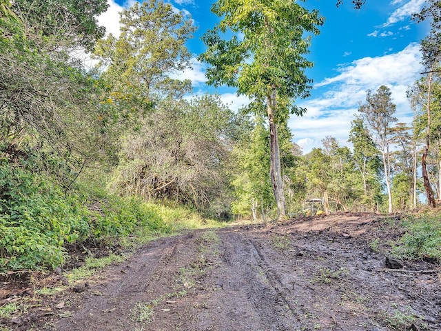 87-1081 Haleili Rd, Captain Cook, HI 96704 - view of dirt / gravel road featuring a wooded view