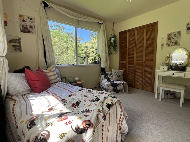 48-5443 Kukuihaele Rd, Honokaa, HI 96727 - carpeted bedroom featuring a closet