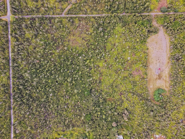 16-1295 Hopue Rd, Mountain View, HI 96760 - photo 2