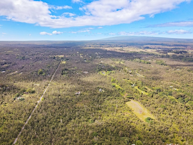 16-1295 Hopue Rd, Mountain View, HI 96760 - photo 4