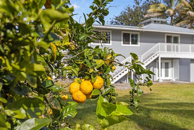 15-1632 6th Ave, Keaau, HI 96749 - view of home's exterior with stairs, a wooden deck, metal roof, and a yard