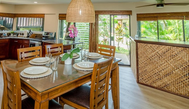 3920 Wyllie Rd Unit 9A, Princeville, HI 96722 - dining room featuring light wood-style flooring, healthy amount of natural light, and a ceiling fan