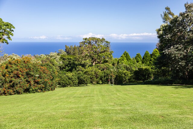 54-2272 Kynnersley Rd, Kapaau, HI 96755 - photo 2