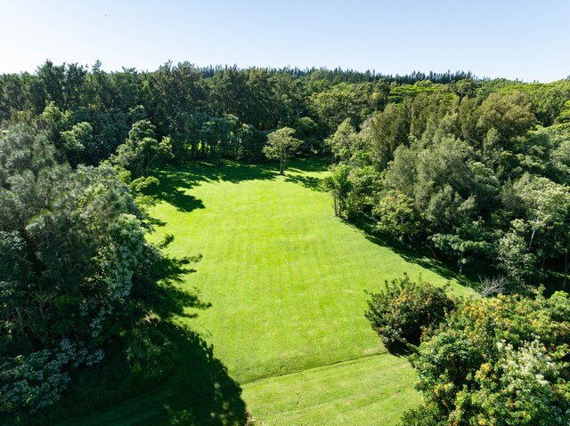 54-2272 Kynnersley Rd, Kapaau, HI 96755 - photo 24