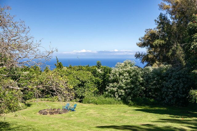 54-2272 Kynnersley Rd, Kapaau, HI 96755 - photo 16