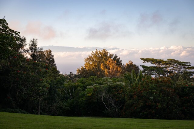 54-2272 Kynnersley Rd, Kapaau, HI 96755 - photo 25