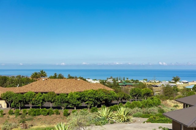 4 Kanehoa St, Kamuela, HI 96743 - photo 7