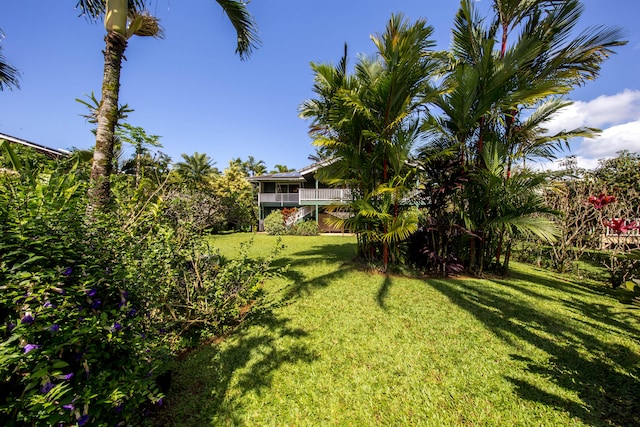 4446 Aku Rd, Hanalei, HI 96714 - view of green lawn