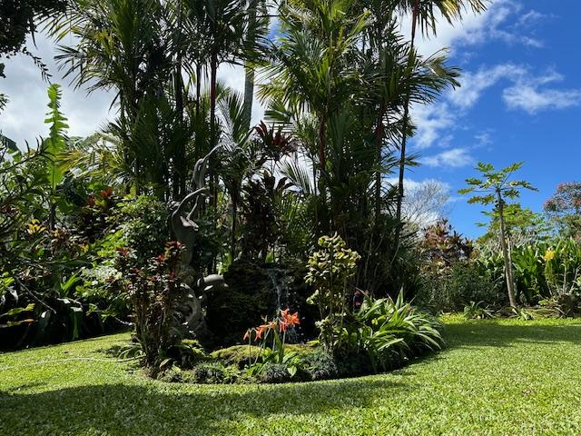 4446 Aku Rd, Hanalei, HI 96714 - view of grassy yard