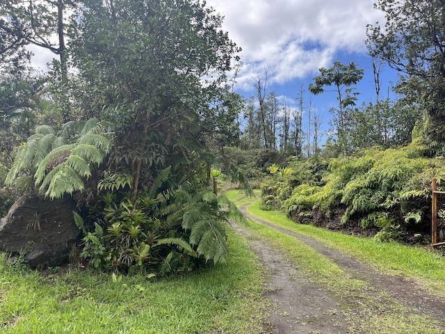 16-2000 Moho Rd, Mountain View, HI 96760 - view of dirt / gravel road