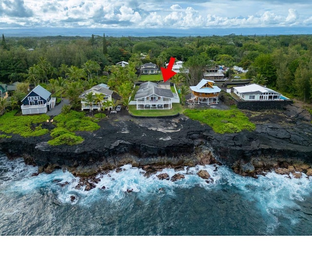 15-885 Paradise Ala Kai Dr, Keaau, HI 96749 - aerial view of a forest