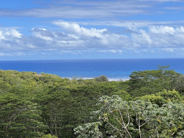 Anini Rd Unit 54, Kilauea, HI 96754