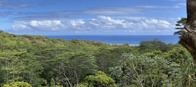 Anini Rd Unit 54, Kilauea, HI 96754