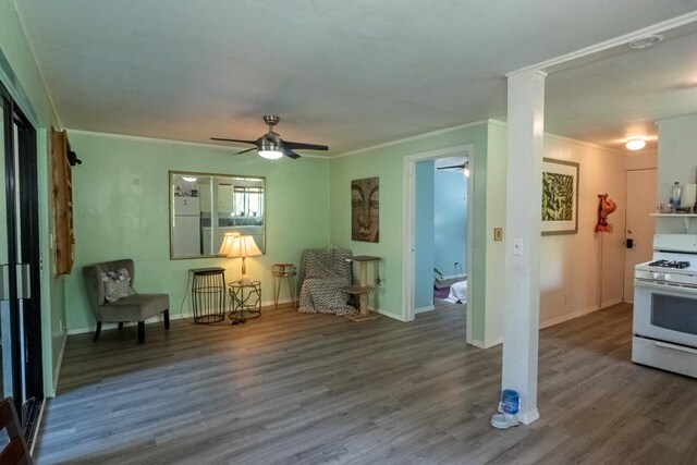 15-2024 19th Ave, Keaau, HI 96749 - sitting room featuring ceiling fan, crown molding, wood finished floors, and baseboards