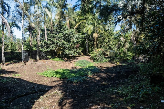 15-2024 19th Ave, Keaau, HI 96749 - view of yard
