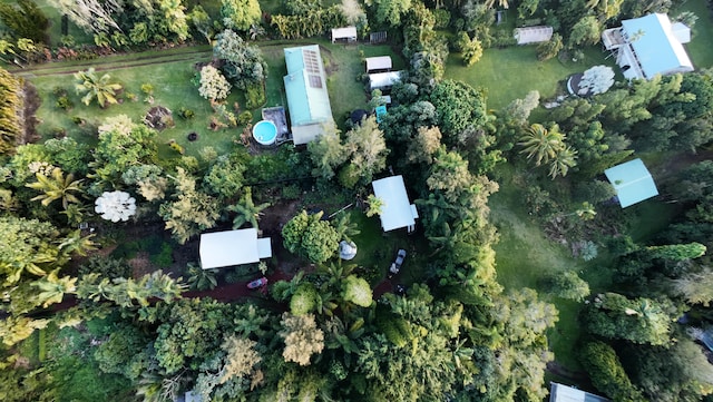 15-2024 19th Ave, Keaau, HI 96749 - aerial view of property's location
