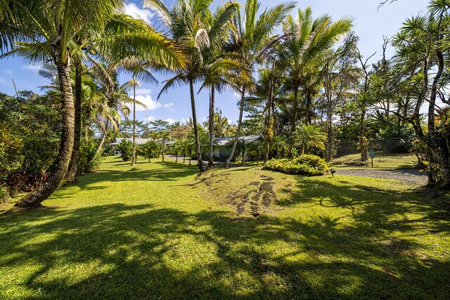 15-1559 19th Ave, Keaau, HI 96749 - view of yard
