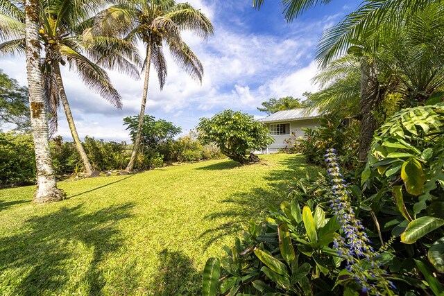 15-1559 19th Ave, Keaau, HI 96749 - view of green lawn