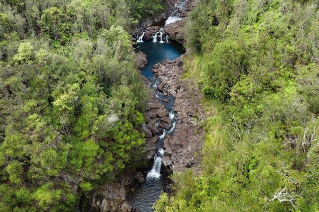 Kaieie Rd, Papaikou, HI 96781 - photo 1