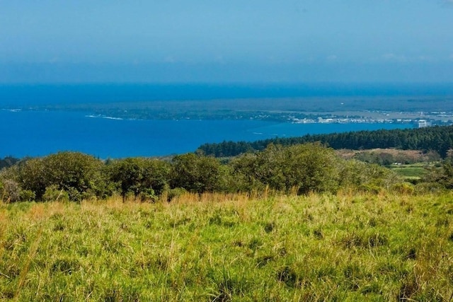 Kaieie Rd, Papaikou, HI 96781 - photo 3