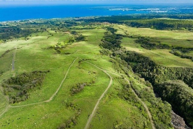 Kaieie Rd, Papaikou, HI 96781 - photo 5