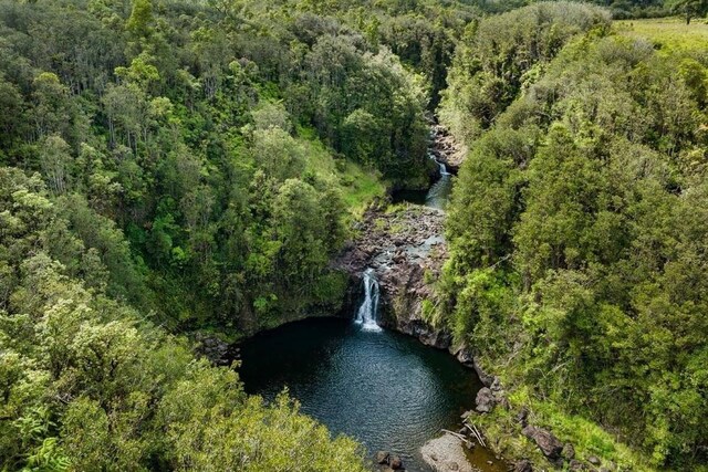 Kaieie Rd, Papaikou, HI 96781 - photo 6