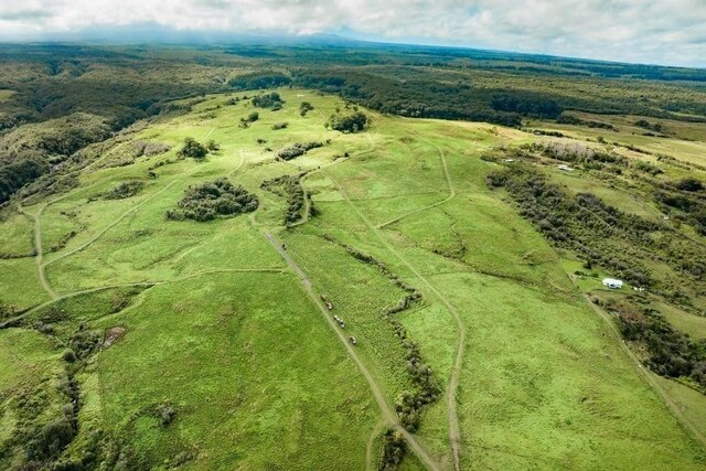Kaieie Rd, Papaikou, HI 96781 - photo 10
