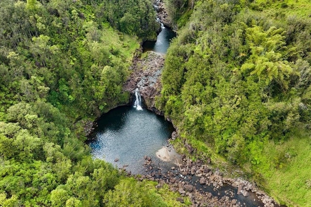 Kaieie Rd, Papaikou, HI 96781 - photo 11