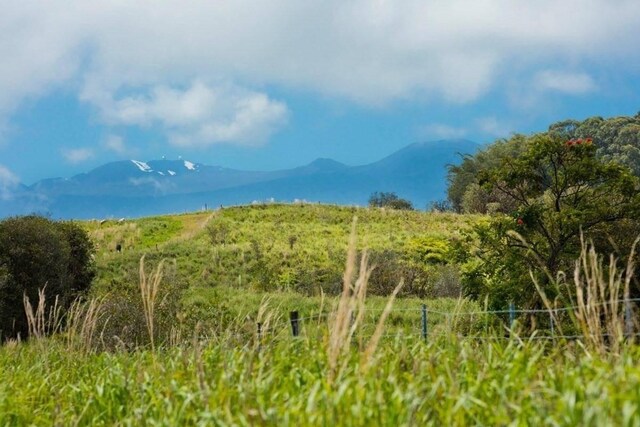 Kaieie Rd, Papaikou, HI 96781 - photo 12