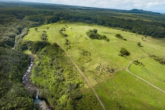 Kaieie Rd, Papaikou, HI 96781 - photo 13