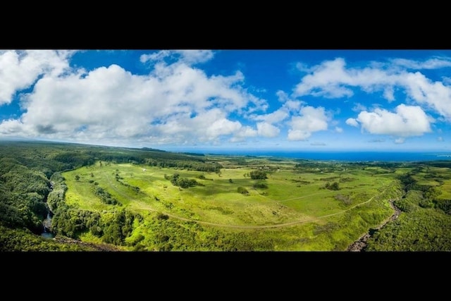 Kaieie Rd, Papaikou, HI 96781 - photo 15